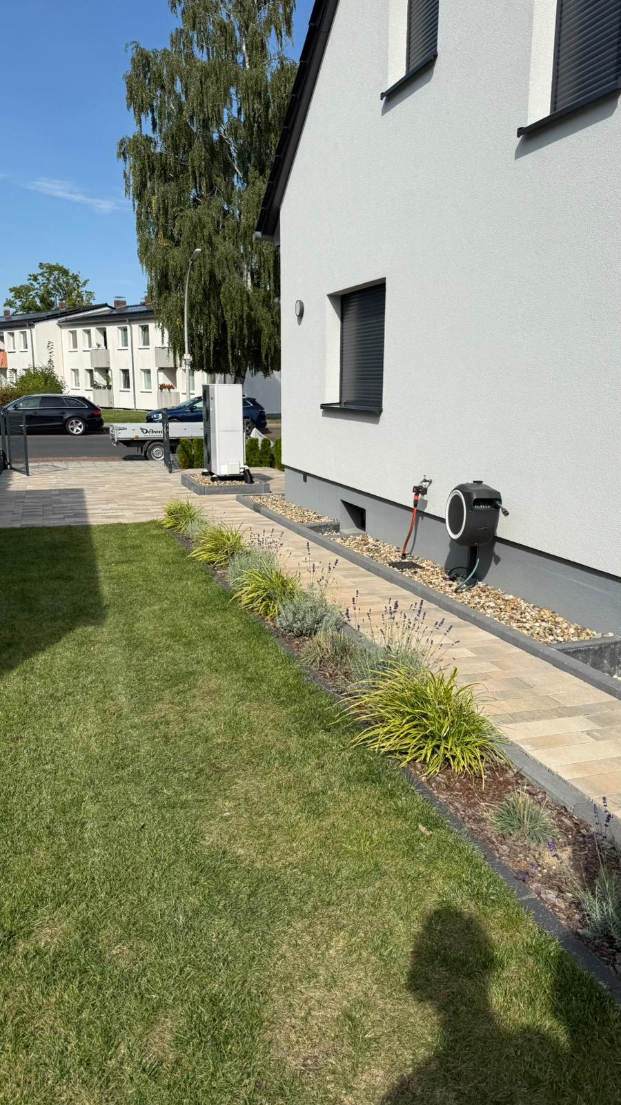 Gepflasterter Weg mit Ziergräsern und Lavendel