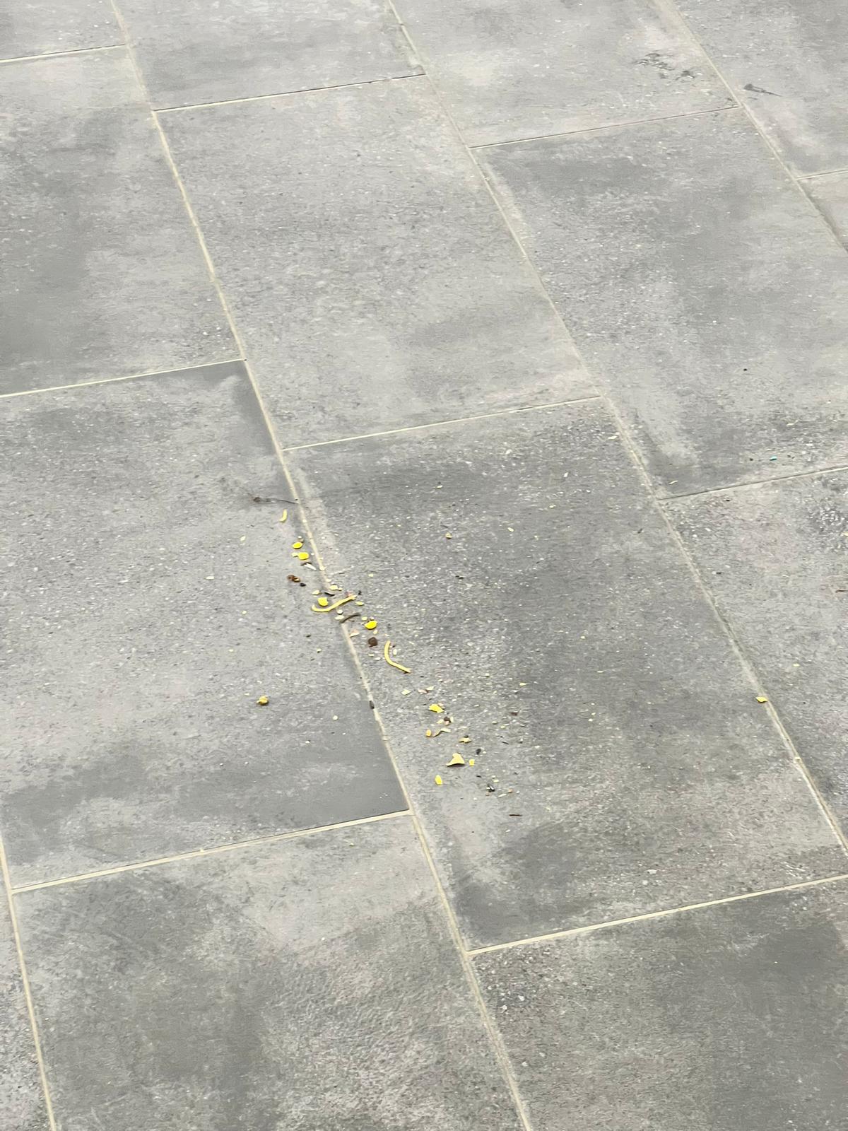 Gründliche Bodenreinigung